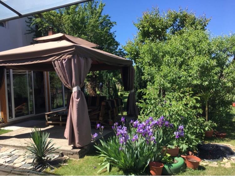 Къща Ивона Apartamento Sapareva Banya Exterior foto